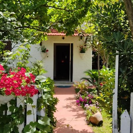 La Corte Delle Rose B&B Praia a Mare Exterior foto