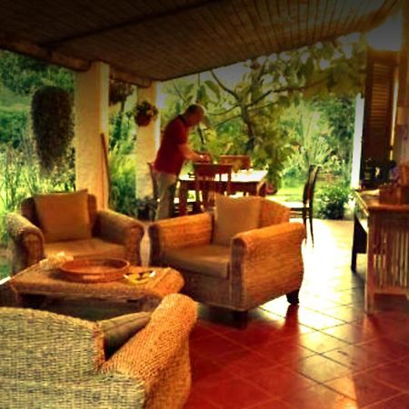 La Corte Delle Rose B&B Praia a Mare Exterior foto