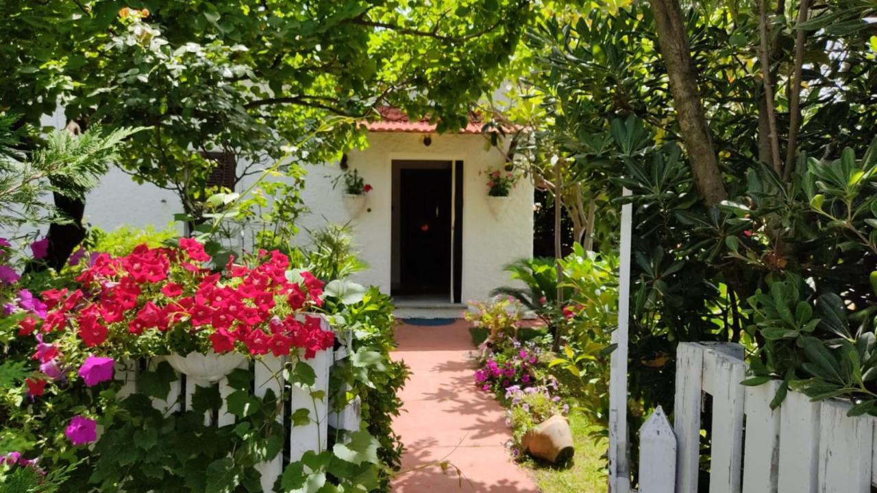 La Corte Delle Rose B&B Praia a Mare Exterior foto