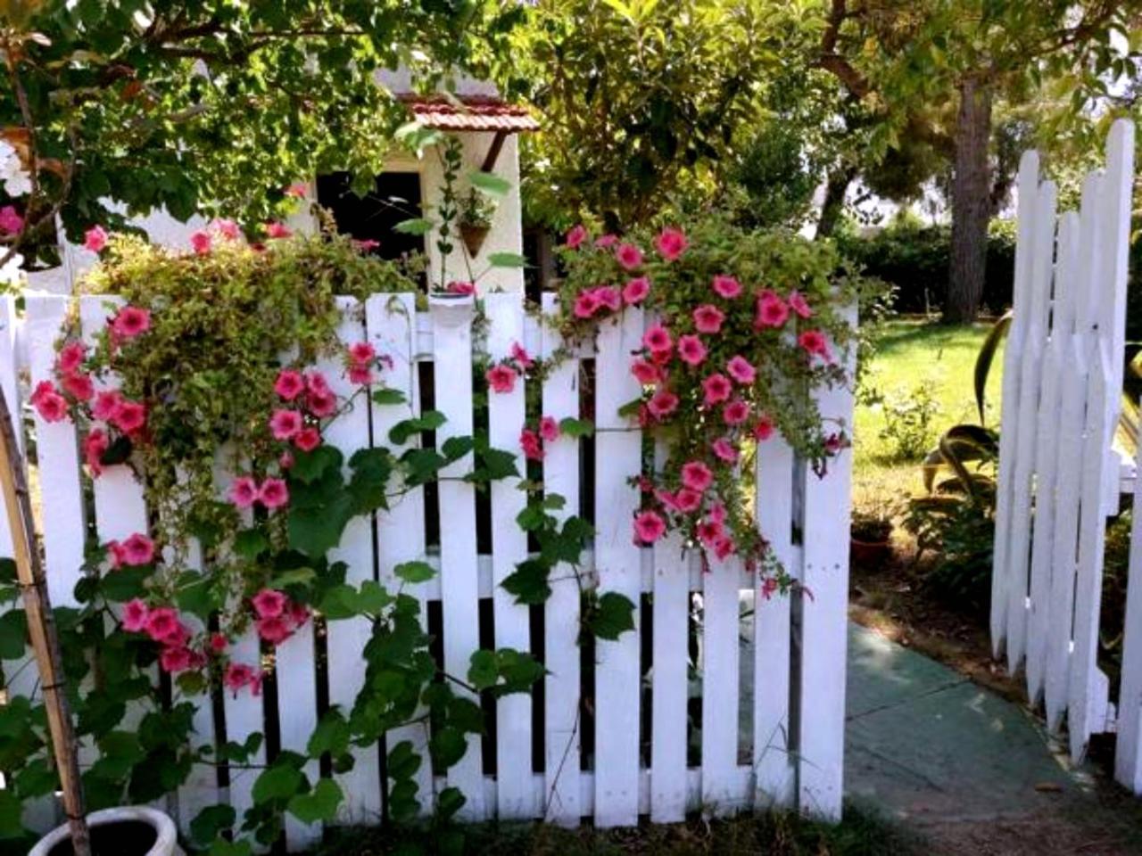 La Corte Delle Rose B&B Praia a Mare Exterior foto