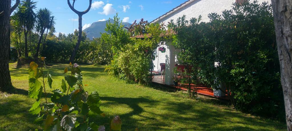 La Corte Delle Rose B&B Praia a Mare Exterior foto