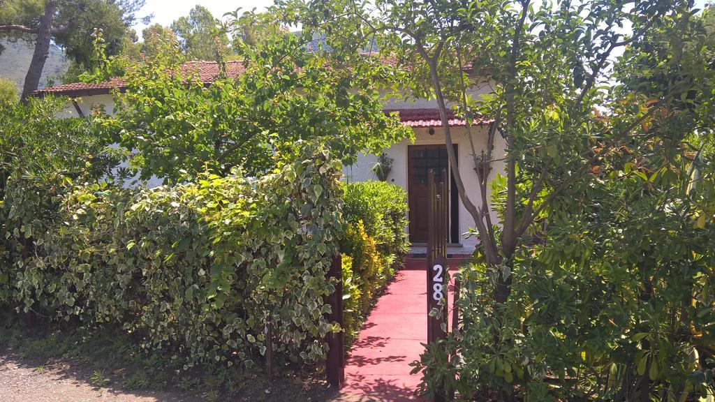 La Corte Delle Rose B&B Praia a Mare Exterior foto