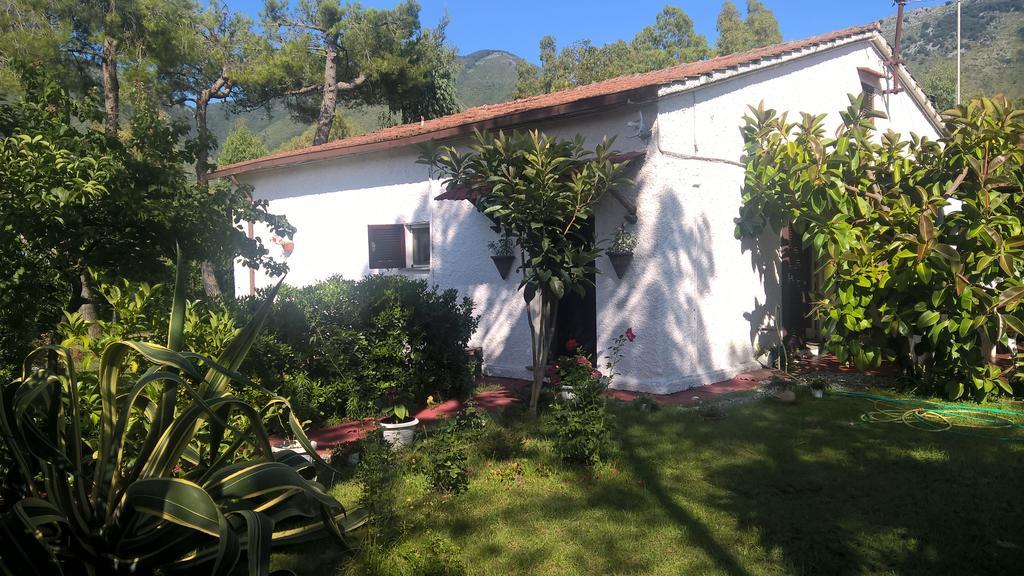 La Corte Delle Rose B&B Praia a Mare Exterior foto