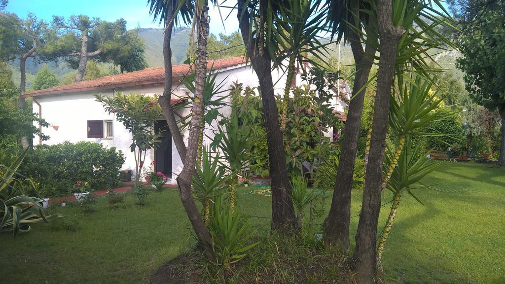 La Corte Delle Rose B&B Praia a Mare Exterior foto