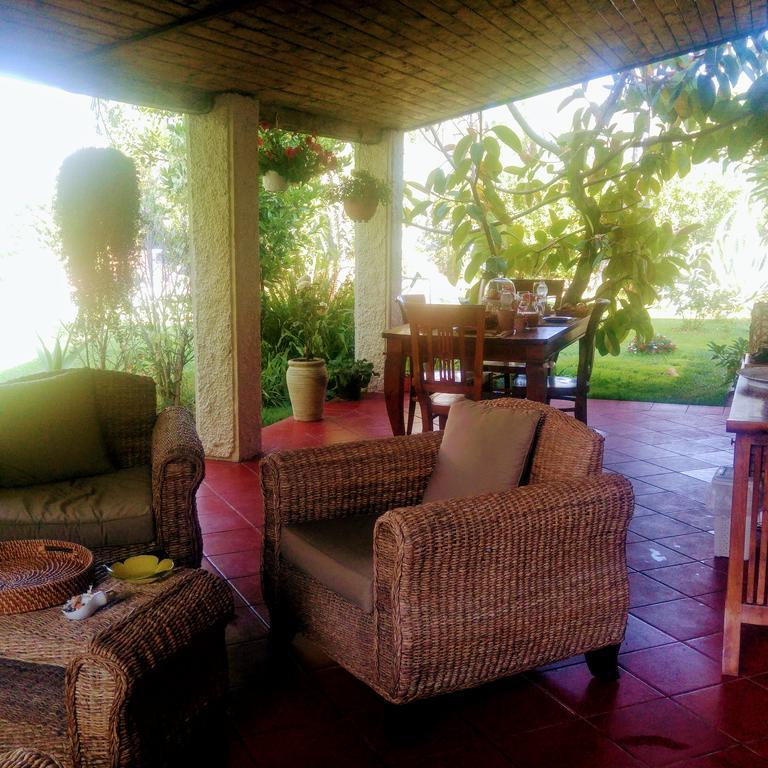 La Corte Delle Rose B&B Praia a Mare Exterior foto